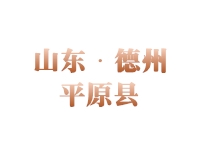 平原经济技术开发区