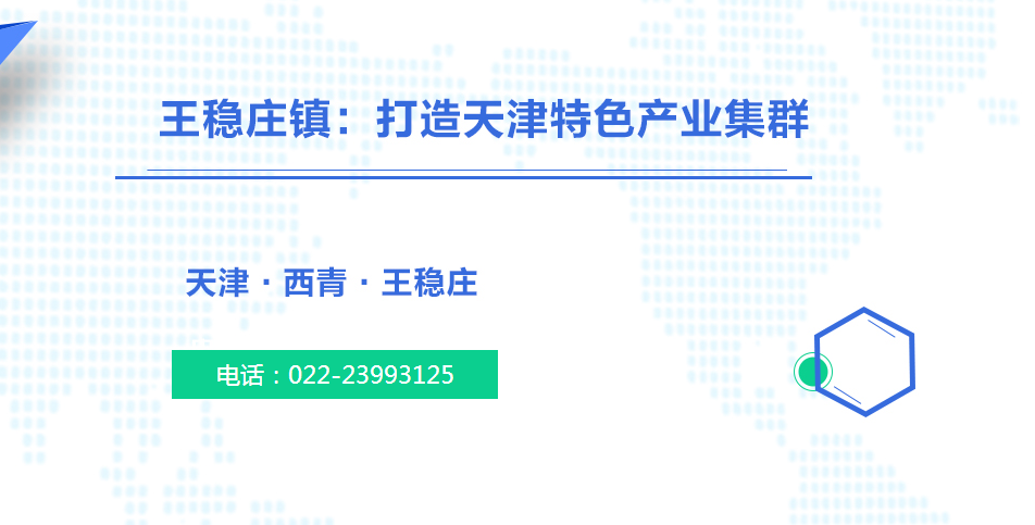 王稳庄镇:打造天津特色产业集群