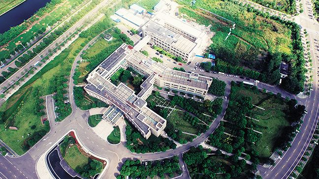 杭州湾新区税收优惠政策