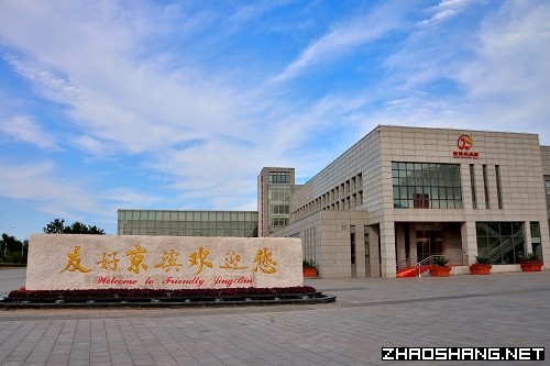 京滨高新区副总经理杨光:京滨高新区筑巢引凤 厚植发展新动能