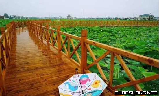 江苏如皋——优营商环境,塑高质量发展