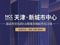 天津新城市中心-西青写字楼