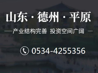 德州平原招商投资分析